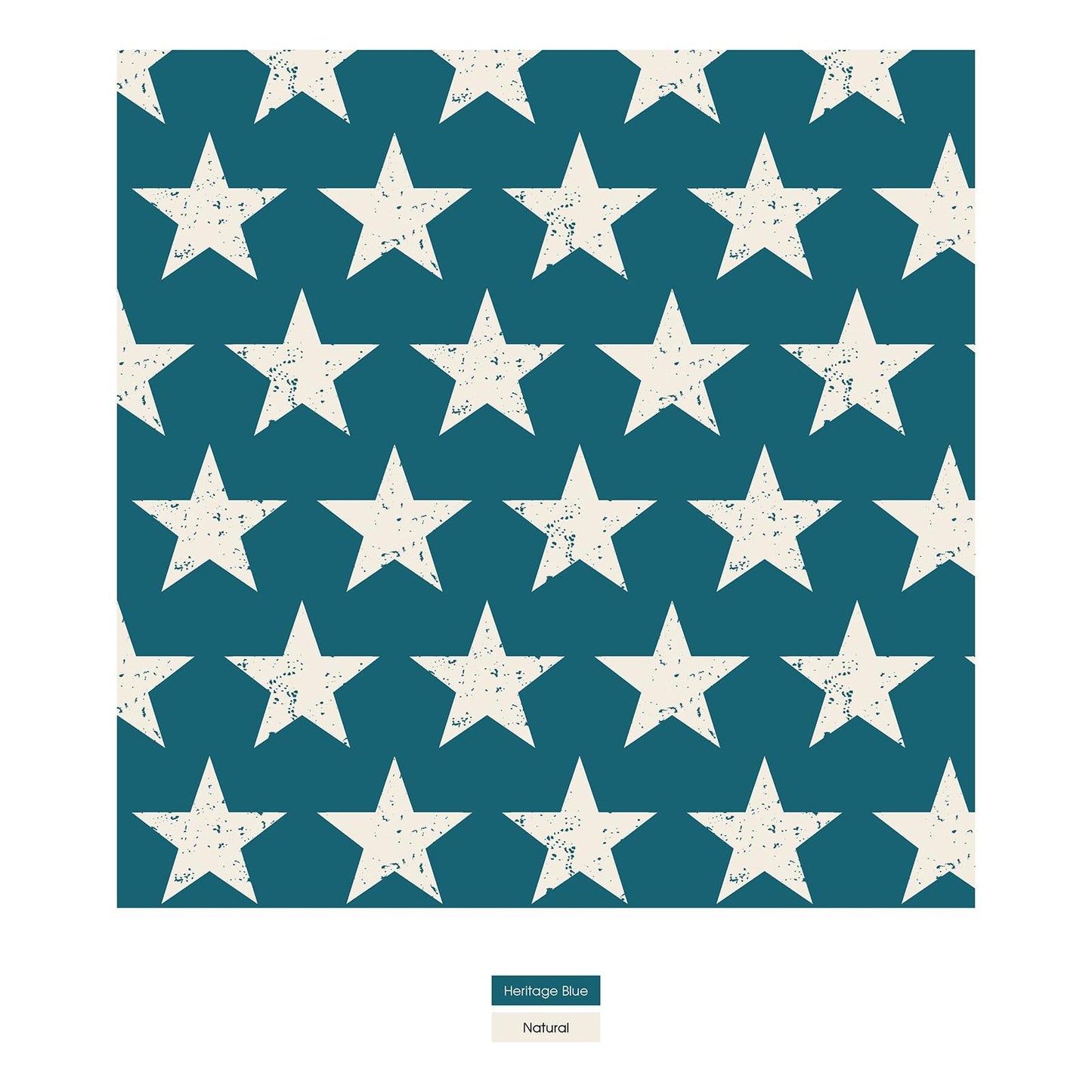 Women's Print Short Sleeve Relaxed Tee in Vintage Stars