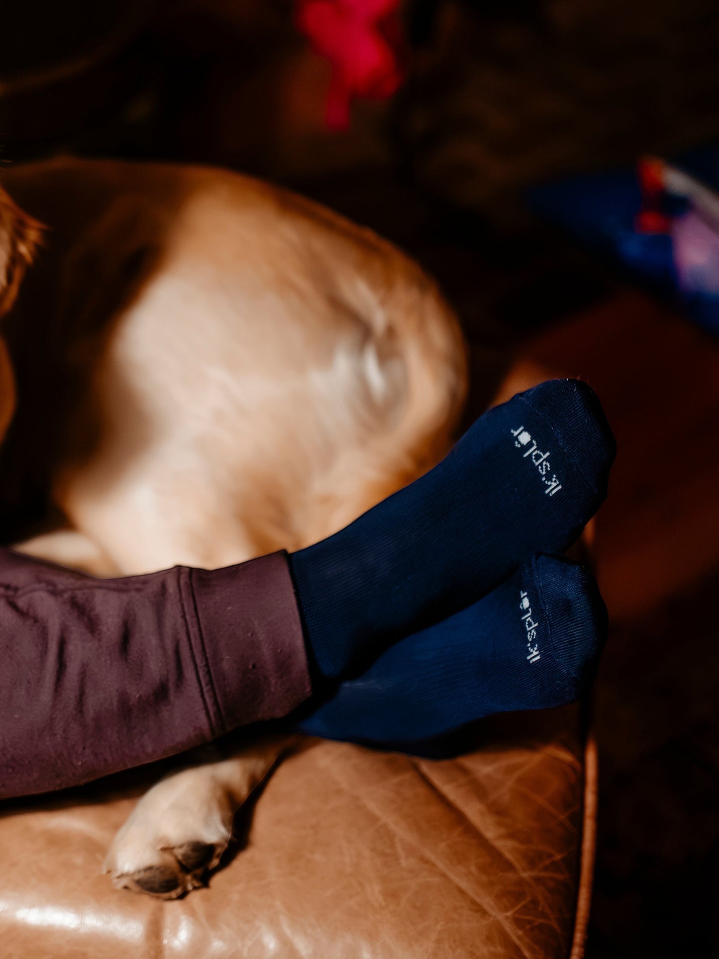 Natural Fiber Trail Socks — 2 Pack