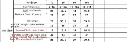 Baby Girl Jumpsuit Infant Long Sleeve Mesh Flower Embroidered Skirt Bottom-covering Rompers