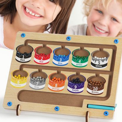 Educational Magnetic Maze