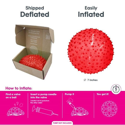 Edushape Original Sensory Ball - 7" Transparent Red Baby Ball for Gross Motor Skills Development (6 Months & Up)