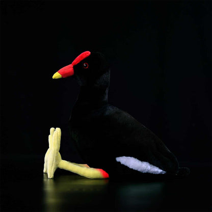 Black Water Chicken Plush Toy Red Bone Top