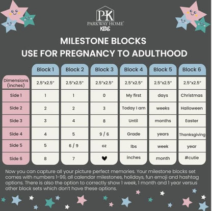 White Baby Monthly Milestone Blocks with Bag. Baby Age Blocks for Girl or Boy Baby Photo Props and Baby Shower. Month Baby Milestone Blocks with Grammatically Correct Month and Year