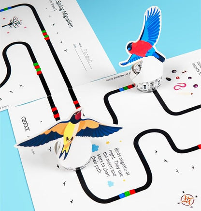 Evo Entry Kit: Interactive Coding Robot, Kids Ages 5+, Includes Color Code Markers, Charging Cable, Zip Case, Access to 700+ STEM Lessons - Educators & Parents, No Coding Experience Required