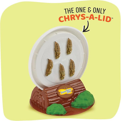 Insect Lore Butterfly Garden - 8" Habitat with 5 Live Baby Caterpillars - Includes Life Cycle Figurines, Stickers, Wind up, Mini Habitat | Birthday or Teacher Gift Set