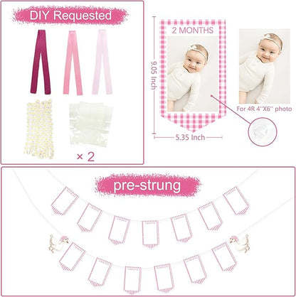 Pink One Silly Goose 1st Birthday Photo Banner Garland from Newborn to 12 Months Paper Photo Banner with Gradient Pink Ribbon for Monthly Milestones Baby Girl First Birthday Party Decorations Supplies