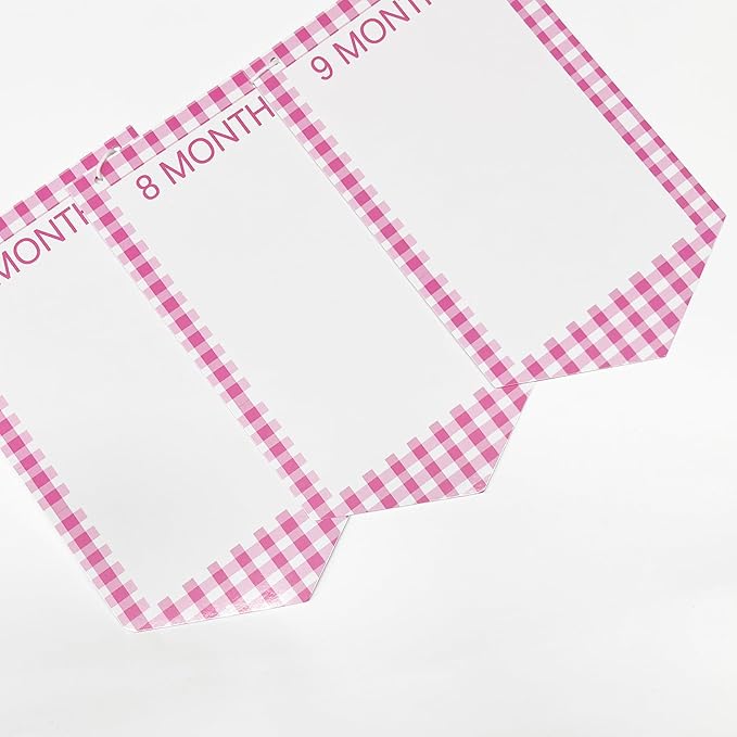 Pink One Silly Goose 1st Birthday Photo Banner Garland from Newborn to 12 Months Paper Photo Banner with Gradient Pink Ribbon for Monthly Milestones Baby Girl First Birthday Party Decorations Supplies