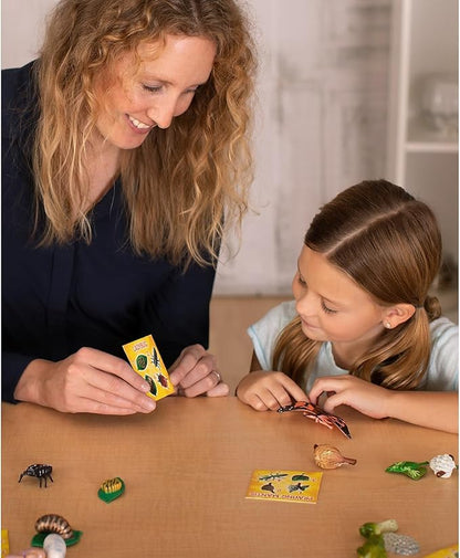 Insect Lore's Life Cycle Figurines 24 Pc Set | Butterfly, Ladybug, Frog, Honey Bee, Ant and Praying Mantis | 4 Stages Per Insect, 24 Figurines Total