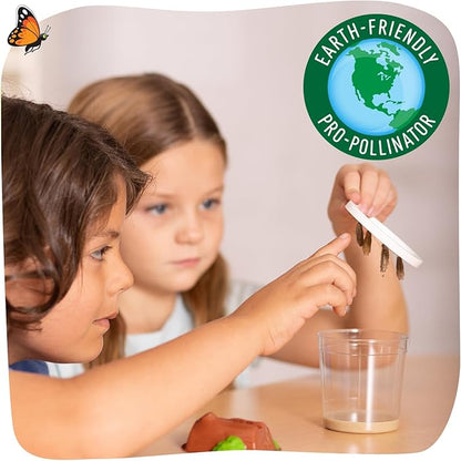 Insect Lore Raise and Release Butterfly Garden Kit – Caterpillar Habitat with redeemable Voucher – STEM-accredited Live Butterfly Growing Kit for Kids, Classrooms, and Homeschool Learning