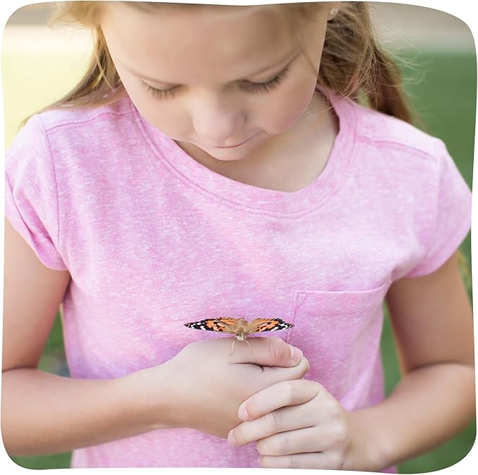 Insect Lore Butterfly Garden - 8" Habitat with 5 Live Baby Caterpillars - Includes Life Cycle Figurines, Stickers, Wind up, Mini Habitat | Birthday or Teacher Gift Set