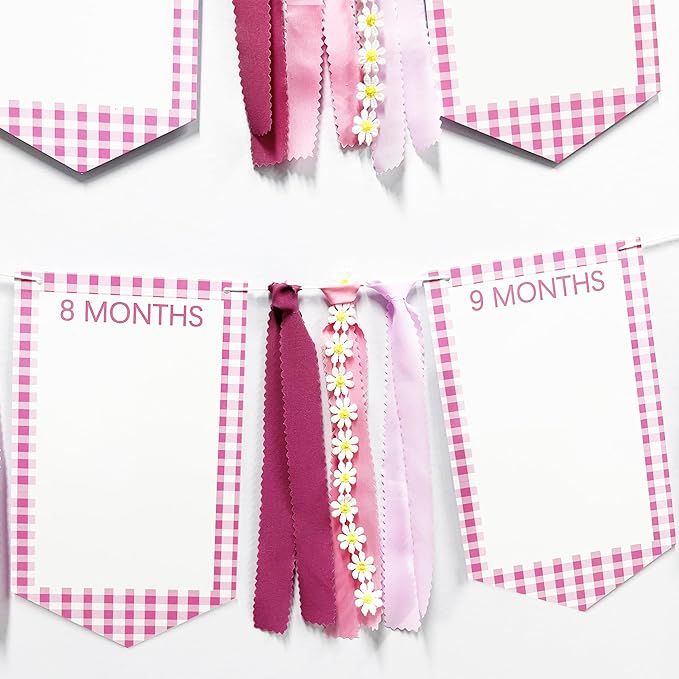 Pink One Silly Goose 1st Birthday Photo Banner Garland from Newborn to 12 Months Paper Photo Banner with Gradient Pink Ribbon for Monthly Milestones Baby Girl First Birthday Party Decorations Supplies