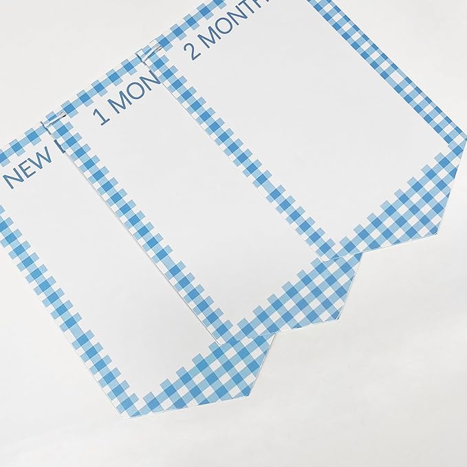 One Silly Goose 1st Birthday Photo Banner Garland from Newborn to 12 Months Paper Photo Banner with Gradient Blue Ribbon for Monthly Milestones Baby Boy First Birthday Party Decorations Supplies