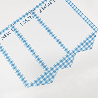One Silly Goose 1st Birthday Photo Banner Garland from Newborn to 12 Months Paper Photo Banner with Gradient Blue Ribbon for Monthly Milestones Baby Boy First Birthday Party Decorations Supplies
