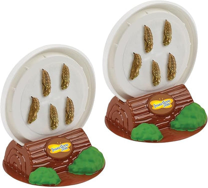 Insect Lore Two Cups of Live Caterpillars - 10 Live Painted Lady Caterpillars with Food - Includes Bonus Butterfly Life Cycle Figurines - Refill for Butterfly Garden Habitat