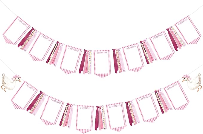 Pink One Silly Goose 1st Birthday Photo Banner Garland from Newborn to 12 Months Paper Photo Banner with Gradient Pink Ribbon for Monthly Milestones Baby Girl First Birthday Party Decorations Supplies