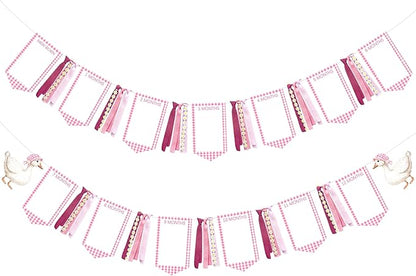 Pink One Silly Goose 1st Birthday Photo Banner Garland from Newborn to 12 Months Paper Photo Banner with Gradient Pink Ribbon for Monthly Milestones Baby Girl First Birthday Party Decorations Supplies