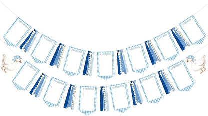 One Silly Goose 1st Birthday Photo Banner Garland from Newborn to 12 Months Paper Photo Banner with Gradient Blue Ribbon for Monthly Milestones Baby Boy First Birthday Party Decorations Supplies