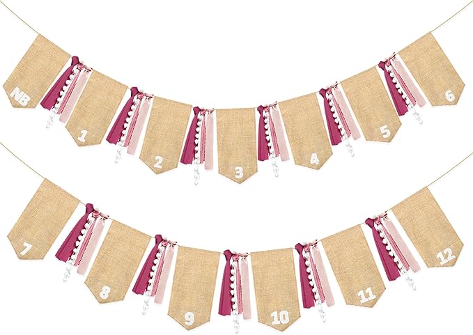 pinkblume 1st Birthday Burlap Photo Banner Garland Handmade Felt from Newborn to 12 Months with Gradient Dusty Pink Ribbon for Baby Girl First Birthday Monthly Milestones Party Decorations Supplies