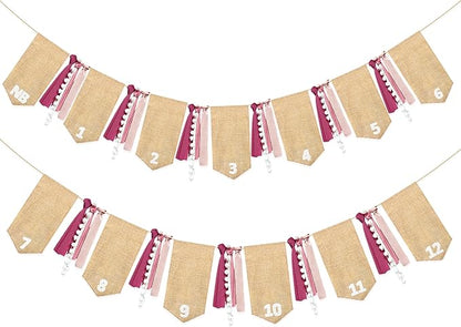 pinkblume 1st Birthday Burlap Photo Banner Garland Handmade Felt from Newborn to 12 Months with Gradient Dusty Pink Ribbon for Baby Girl First Birthday Monthly Milestones Party Decorations Supplies