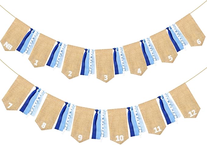 pinkblume 1st Birthday Burlap Photo Banner Garland Handmade Felt from Newborn to 12 Months with Gradient Blue Ribbon for Monthly Milestones Baby Boy First Birthday Party Decorations Supplies