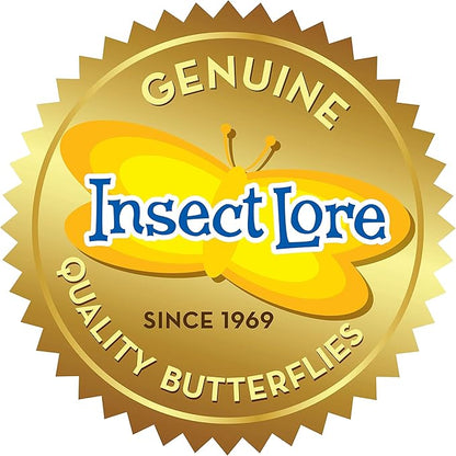 Insect Lore Raise and Release Butterfly Garden Kit – Caterpillar Habitat with redeemable Voucher – STEM-accredited Live Butterfly Growing Kit for Kids, Classrooms, and Homeschool Learning