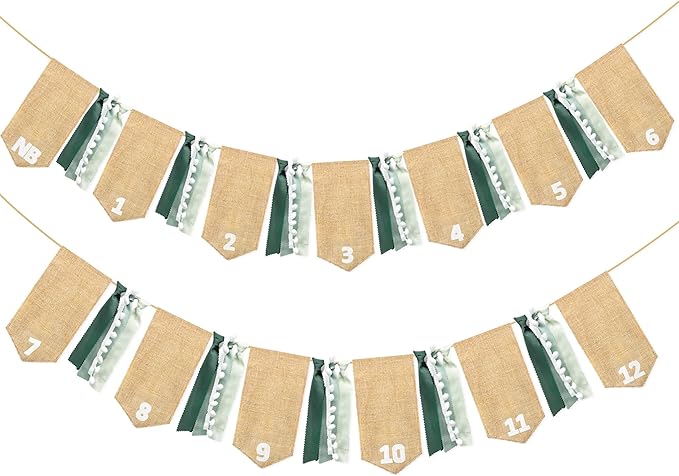 pinkblume 1st Birthday Burlap Photo Banner Garland Handmade Felt from Newborn to 12 Months with Gradient Sage Green Ribbon for Baby Boy Girl Monthly Milestones First Birthday Party Decoration Supplies