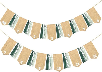 pinkblume 1st Birthday Burlap Photo Banner Garland Handmade Felt from Newborn to 12 Months with Gradient Sage Green Ribbon for Baby Boy Girl Monthly Milestones First Birthday Party Decoration Supplies