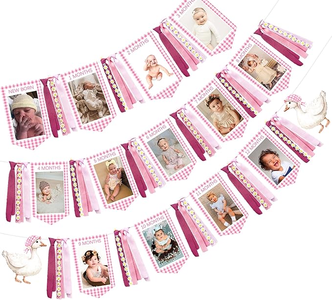 Pink One Silly Goose 1st Birthday Photo Banner Garland from Newborn to 12 Months Paper Photo Banner with Gradient Pink Ribbon for Monthly Milestones Baby Girl First Birthday Party Decorations Supplies