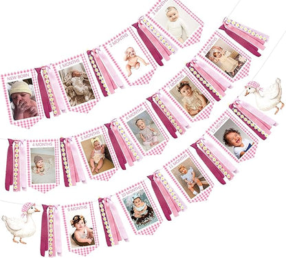 Pink One Silly Goose 1st Birthday Photo Banner Garland from Newborn to 12 Months Paper Photo Banner with Gradient Pink Ribbon for Monthly Milestones Baby Girl First Birthday Party Decorations Supplies