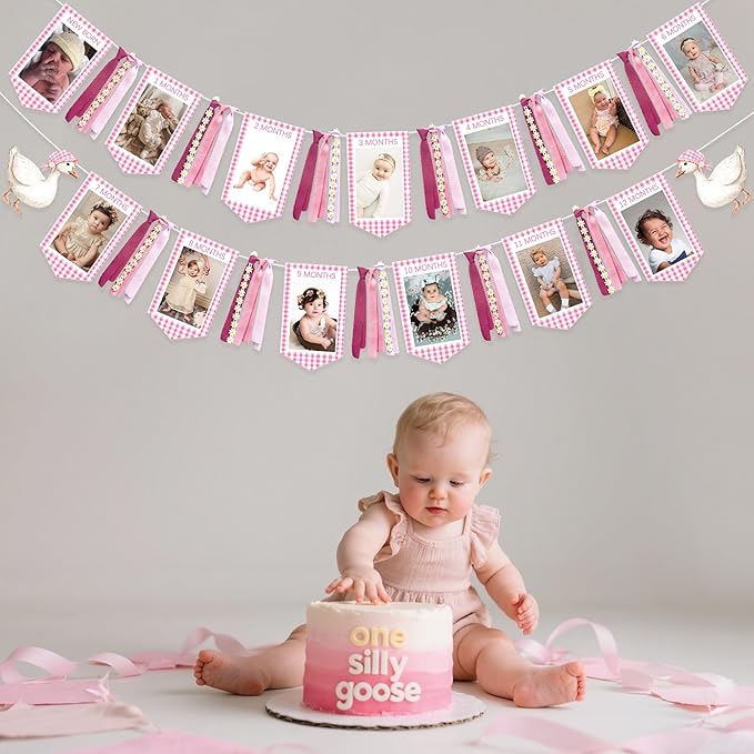 Pink One Silly Goose 1st Birthday Photo Banner Garland from Newborn to 12 Months Paper Photo Banner with Gradient Pink Ribbon for Monthly Milestones Baby Girl First Birthday Party Decorations Supplies