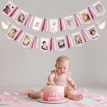 Pink One Silly Goose 1st Birthday Photo Banner Garland from Newborn to 12 Months Paper Photo Banner with Gradient Pink Ribbon for Monthly Milestones Baby Girl First Birthday Party Decorations Supplies