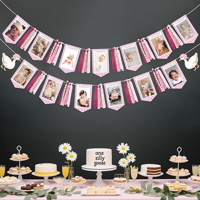 Pink One Silly Goose 1st Birthday Photo Banner Garland from Newborn to 12 Months Paper Photo Banner with Gradient Pink Ribbon for Monthly Milestones Baby Girl First Birthday Party Decorations Supplies