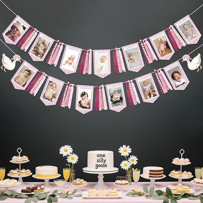 Pink One Silly Goose 1st Birthday Photo Banner Garland from Newborn to 12 Months Paper Photo Banner with Gradient Pink Ribbon for Monthly Milestones Baby Girl First Birthday Party Decorations Supplies