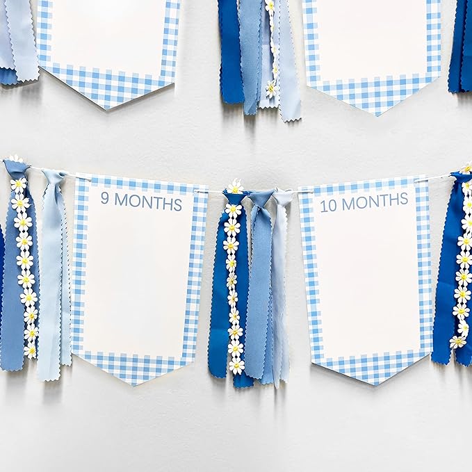 One Silly Goose 1st Birthday Photo Banner Garland from Newborn to 12 Months Paper Photo Banner with Gradient Blue Ribbon for Monthly Milestones Baby Boy First Birthday Party Decorations Supplies