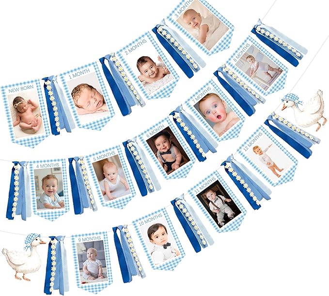 One Silly Goose 1st Birthday Photo Banner Garland from Newborn to 12 Months Paper Photo Banner with Gradient Blue Ribbon for Monthly Milestones Baby Boy First Birthday Party Decorations Supplies