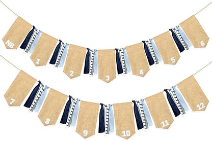 pinkblume 1st Birthday Burlap Photo Banner Garland Handmade Felt from Newborn to 12 Months with Dusty Blue Gray Ribbon for Baby Boy Girl Monthly Milestones First Birthday Party Decoration Supplies