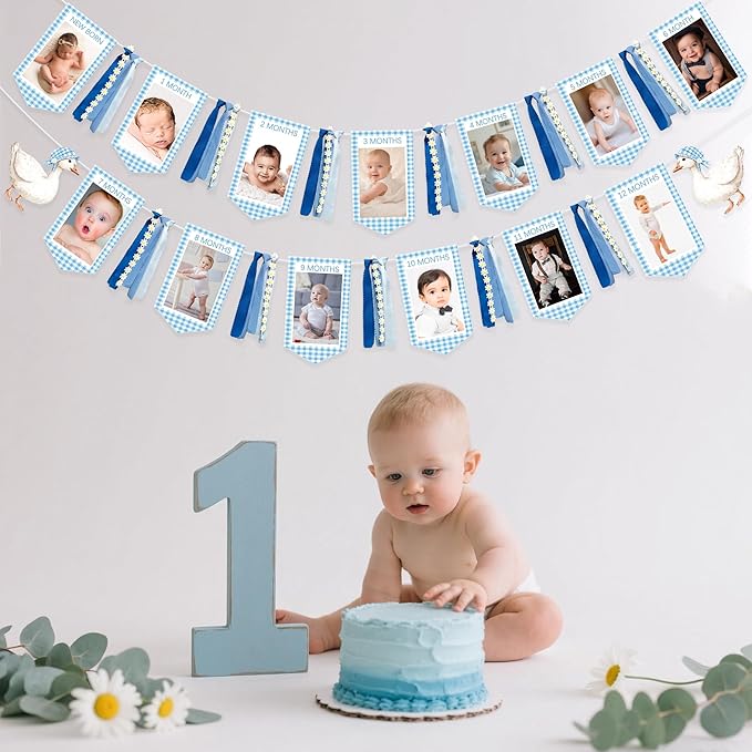 One Silly Goose 1st Birthday Photo Banner Garland from Newborn to 12 Months Paper Photo Banner with Gradient Blue Ribbon for Monthly Milestones Baby Boy First Birthday Party Decorations Supplies