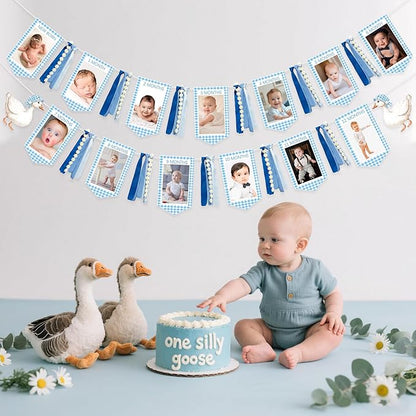 One Silly Goose 1st Birthday Photo Banner Garland from Newborn to 12 Months Paper Photo Banner with Gradient Blue Ribbon for Monthly Milestones Baby Boy First Birthday Party Decorations Supplies