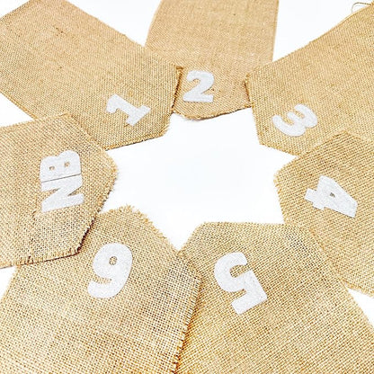 pinkblume 1st Birthday Burlap Photo Banner Garland Handmade Felt from Newborn to 12 Months with Gradient Pink Ribbon for Baby Girl Monthly Milestones First Birthday Party Decorations Supplies