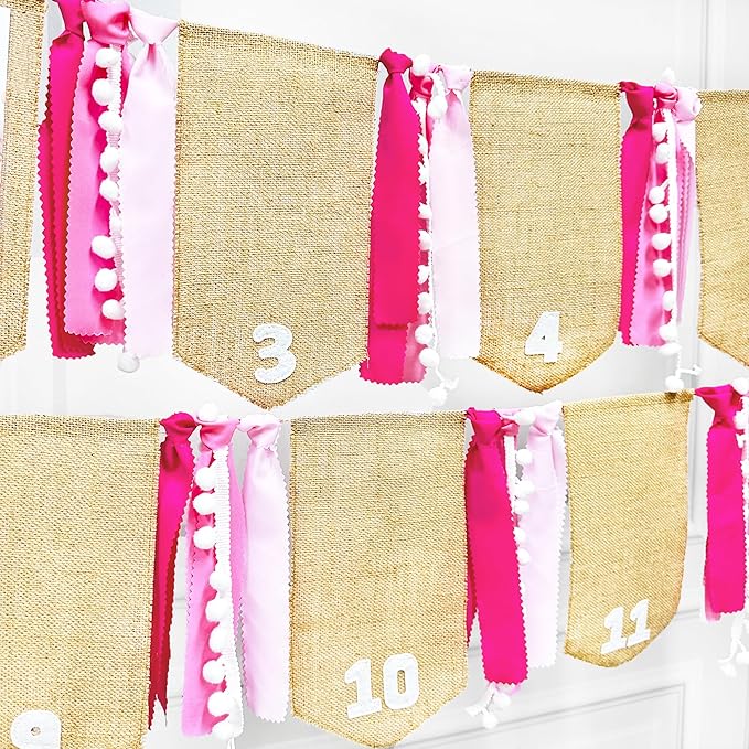pinkblume 1st Birthday Burlap Photo Banner Garland Handmade Felt from Newborn to 12 Months with Gradient Pink Ribbon for Baby Girl Monthly Milestones First Birthday Party Decorations Supplies