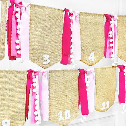 pinkblume 1st Birthday Burlap Photo Banner Garland Handmade Felt from Newborn to 12 Months with Gradient Pink Ribbon for Baby Girl Monthly Milestones First Birthday Party Decorations Supplies