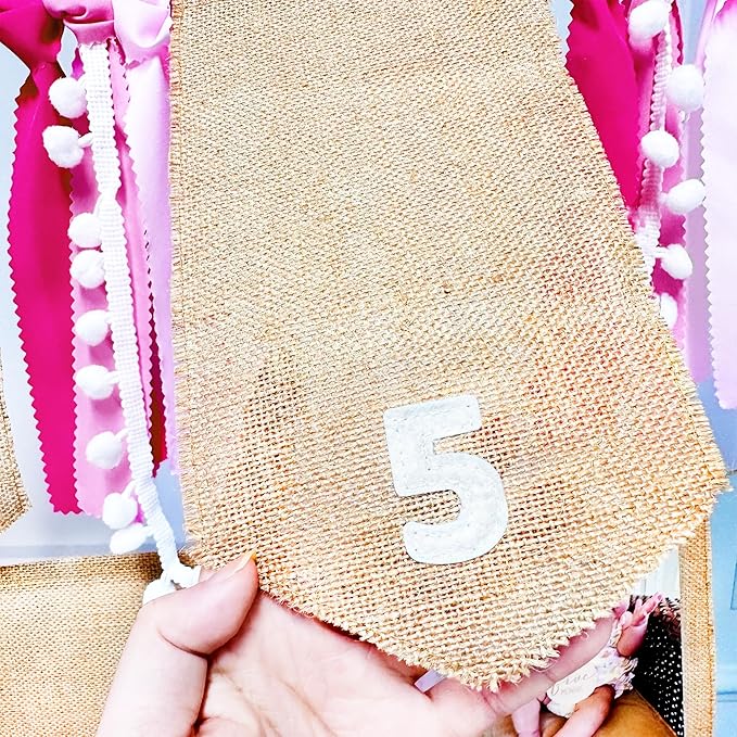 pinkblume 1st Birthday Burlap Photo Banner Garland Handmade Felt from Newborn to 12 Months with Gradient Pink Ribbon for Baby Girl Monthly Milestones First Birthday Party Decorations Supplies