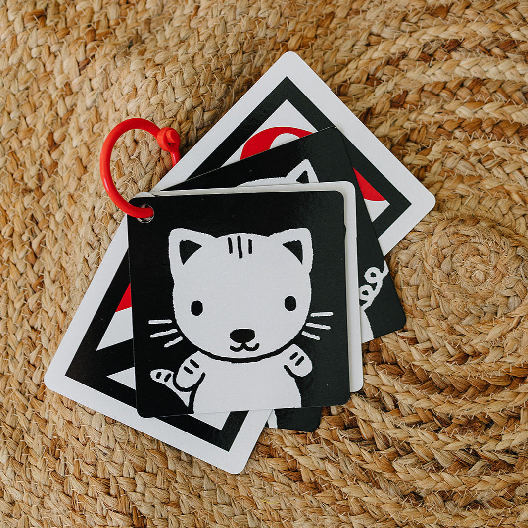 The Original High Contrast Flashcards for Baby