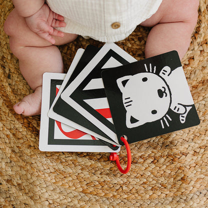 The Original High Contrast Flashcards for Baby