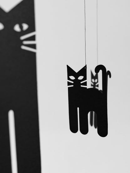 Cats.