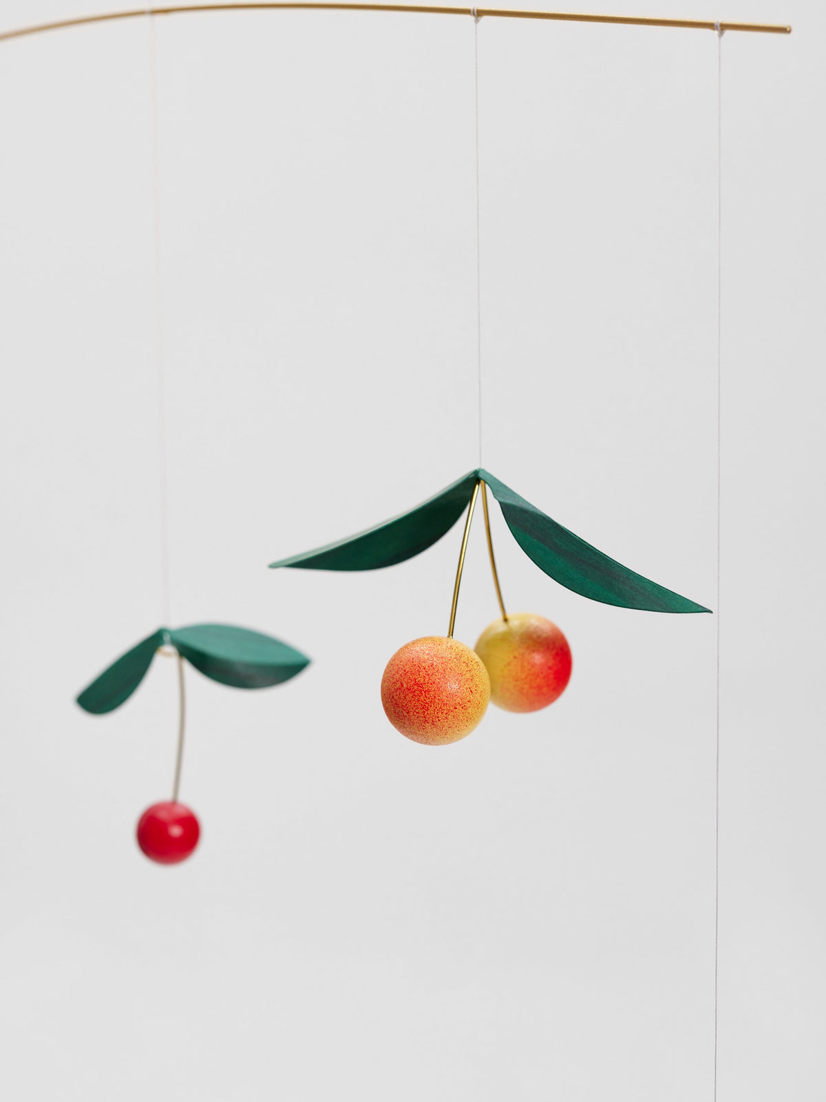 Cherry Bird.