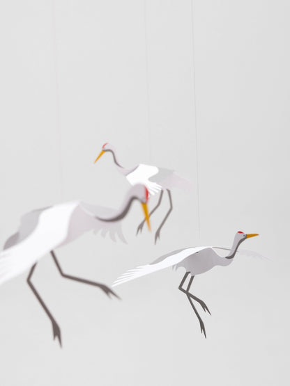 Crane Dance.