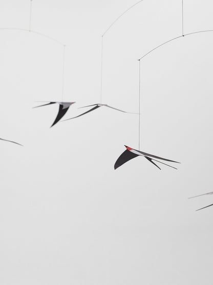 Flying Swallows 5.