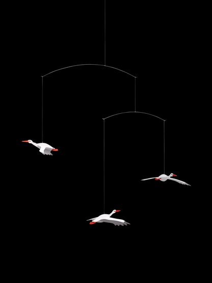 Lucky Storks.