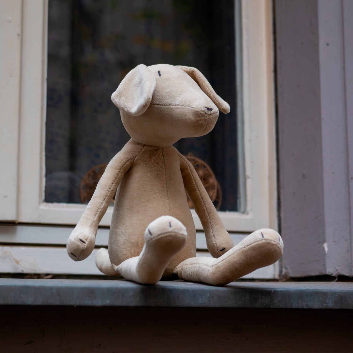 MAX THE LABRADOR - L
